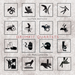 Glenn Kotche: Drumkit Quartets