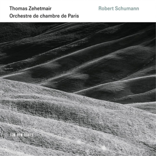 Schumann: Violin Concerto/Symphony No. 1
