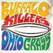 Ohio Grass