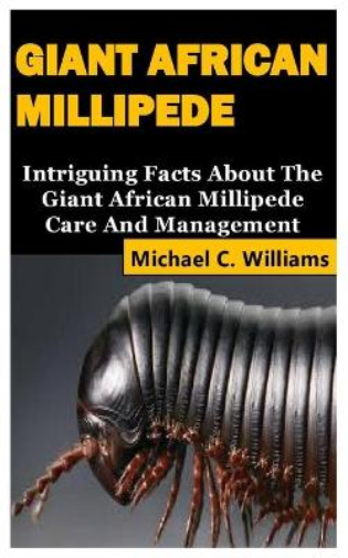 Giant African Millipede
