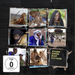 Every Song Has Its End: Sonic Dispatches from Traditional Mali