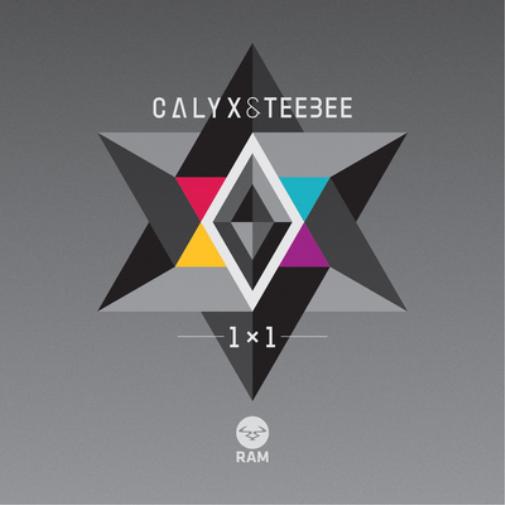 1X1