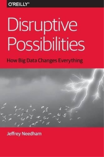 Disruptive Possibilities: How Big Data Changes Everything