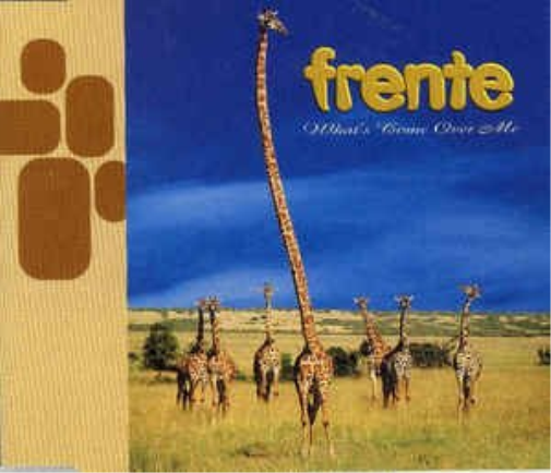 FRENTE-WHAT'S COME OVER ME -CDS
