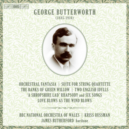 George Butterworth: Orchestral Fantasia/...