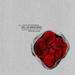 Dead Ringers