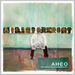 Afro-Haitian Experimental Orchestra