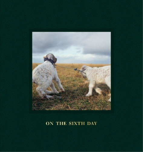 On the Sixth Day