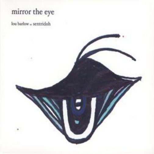 Mirror the Eye