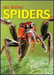 Spiders