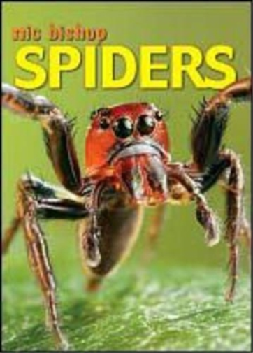 Spiders