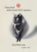 ZEN Master Cat