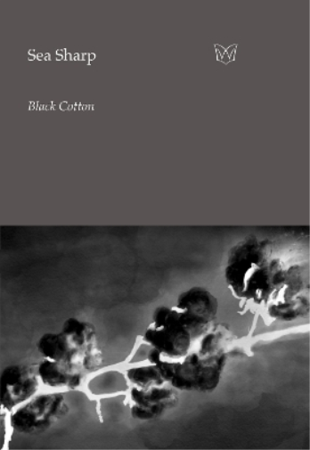 Black Cotton