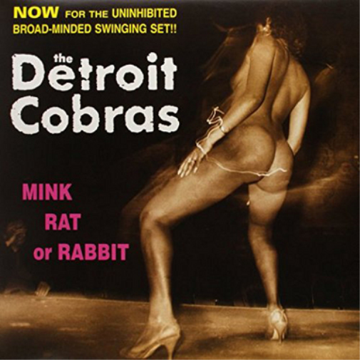 Mink, Rat Or Rabbit