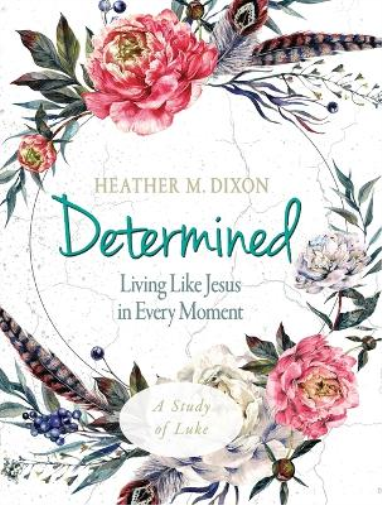 Determined - Women's Bible Study Participant Workbook