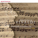 Antonio Lucio Vivaldi: Nuove Sonate
