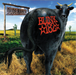 Dude Ranch