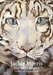 The Snow Leopard Postcard Pack
