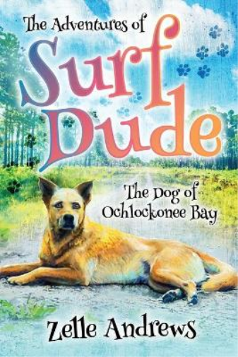 The Adventures of Surf Dude