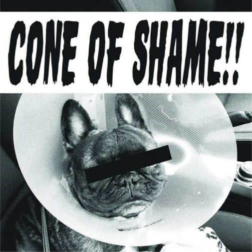 Cone of Shame