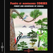 Forets Et Montagnes Corses: Forest and Mountains of Corsica