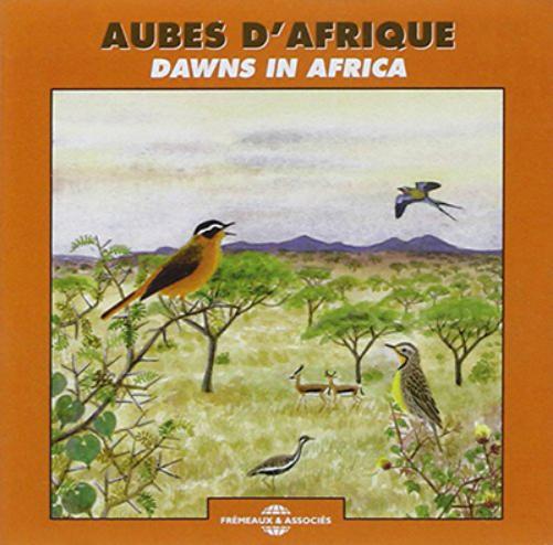 Aubes D'Afrique: Dawns in Africa