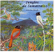 Jungles De Sumatra - 1