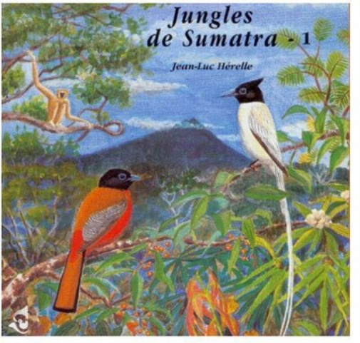 Jungles De Sumatra - 1