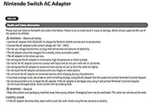 Nintendo Switch AC Adapter