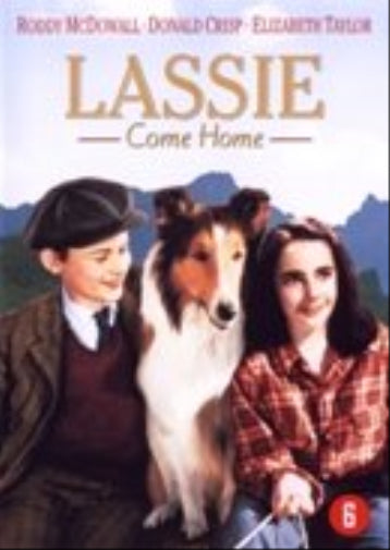 STUDIO CANAL - LASSIE COME HOME (1 DVD