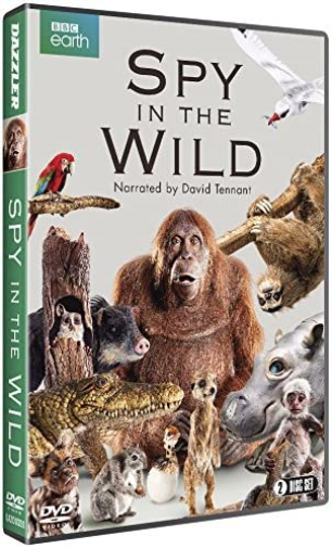 Spy in the Wild