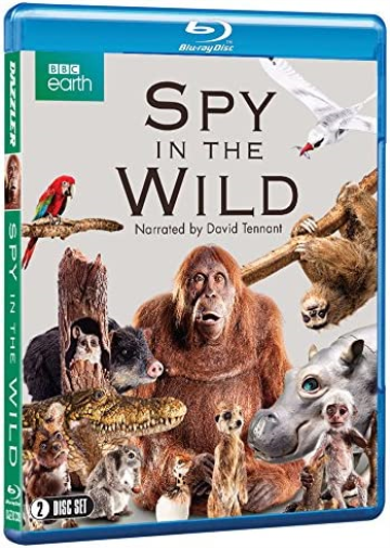 Spy in the Wild (BBC)