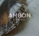 Ambon
