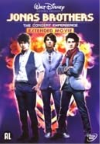 Jonas Brothers - the concert experience