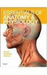 Essentials Of Anatomy And Physiology