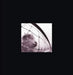 Vs./Vitalogy