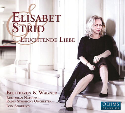 Elisabet Strid: Leuchtende Liebe