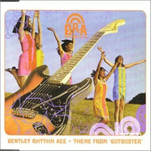 Theme From Gutbuster