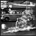 Rage Against the Machine - XX