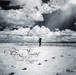 Dhafer Youssef: Birds Requiem