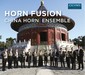 Horn Fusion