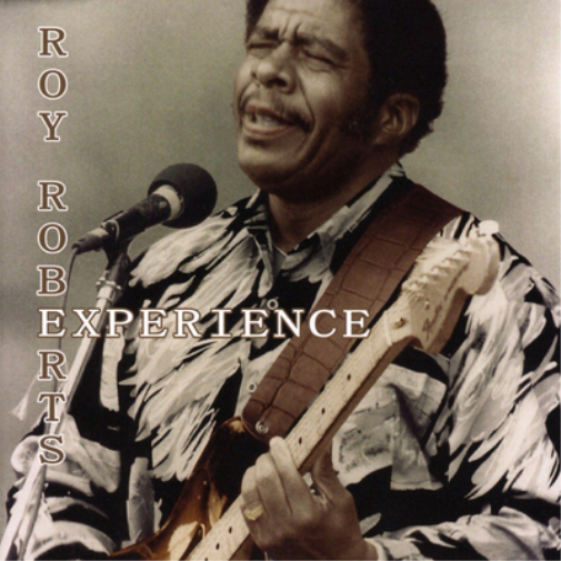 Roy Roberts Experience