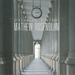 Mathew Rosenblum: Circadian Rhythms