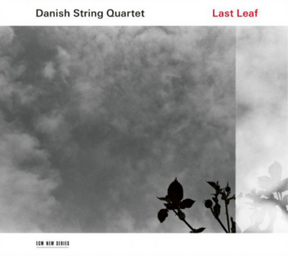 Danish String Quartet: Lost Leaf