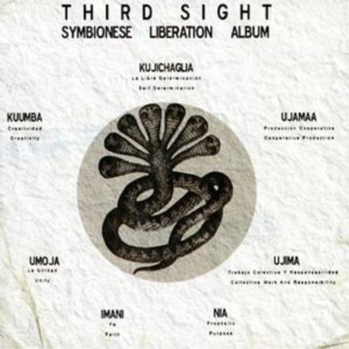 Symbionese Liberation Album