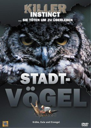 Killer Instinct - Stadtvögel