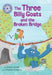 Reading Champion: The Three Billy Goats and the Broken Bridge