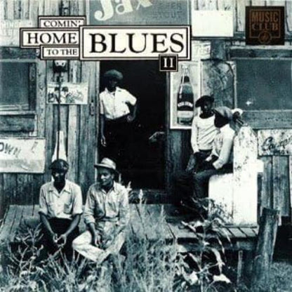 Coming Home to the Blues Vol.2