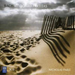 Complete Harpsichord Partitas (Parle)