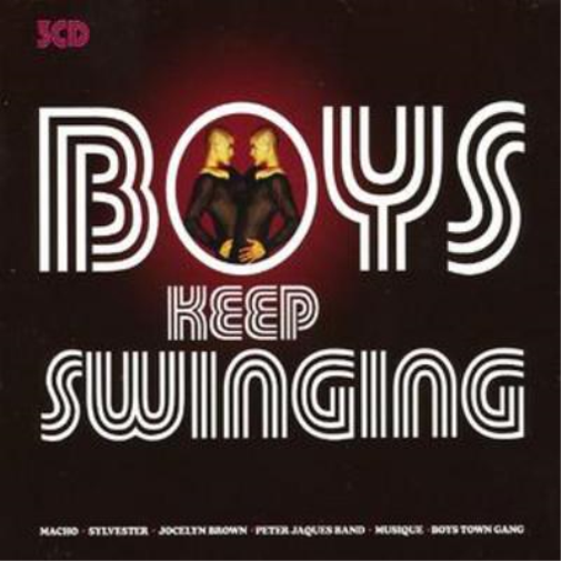 Boys Keep Swinging